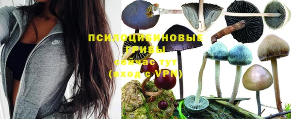 соль курить ск Алексин